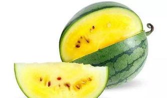 小冬瓜直播间娱乐圈吃瓜,小冬瓜直播间揭秘幕后真相